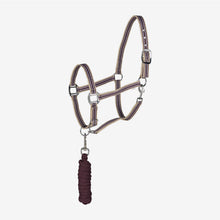 Load image into Gallery viewer, Horze Glarus Halter & Lead Set