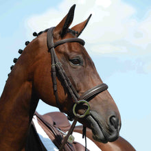 Load image into Gallery viewer, Collegiate Syntovia+ Padded Raised Cavesson Bridle