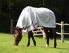 Load image into Gallery viewer, Weatherbeeta Comfitec Dura-Mesh Combo