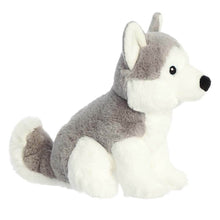 Load image into Gallery viewer, Eco Nation Husky Dog