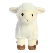 Load image into Gallery viewer, Eco Nation Lamb