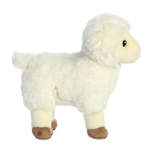Load image into Gallery viewer, Eco Nation Lamb