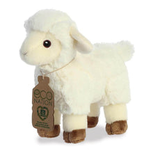 Load image into Gallery viewer, Eco Nation Lamb