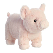 Load image into Gallery viewer, Eco Nation Pig