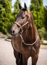 Load image into Gallery viewer, Horze Sandnes Halter & Lead Set