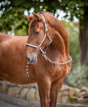 Load image into Gallery viewer, Horze Sandnes Halter & Lead Set