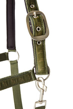 Load image into Gallery viewer, Horze Victoria Halter
