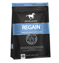 Load image into Gallery viewer, Hygain Regain