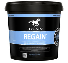 Load image into Gallery viewer, Hygain Regain