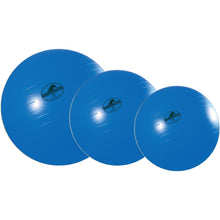 Load image into Gallery viewer, Mega Horse Ball & Cover Set