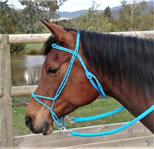 Load image into Gallery viewer, Nungar Knots Bitless Bridle