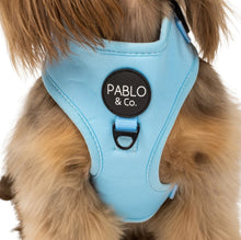 Load image into Gallery viewer, Pablo & Co Adjustable Harness