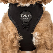 Load image into Gallery viewer, Pablo & Co Adjustable Harness