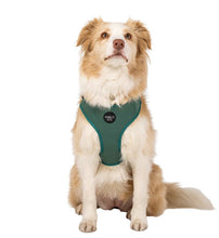 Load image into Gallery viewer, Pablo & Co Adjustable Harness
