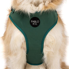 Load image into Gallery viewer, Pablo & Co Adjustable Harness