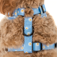 Load image into Gallery viewer, Pablo & Co Blue Daisy Adjustable Harness