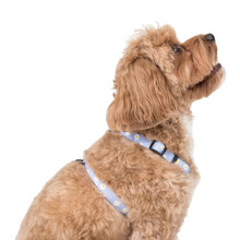 Load image into Gallery viewer, Pablo & Co Blue Daisy Strap Harness