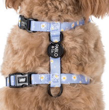 Load image into Gallery viewer, Pablo & Co Blue Daisy Strap Harness