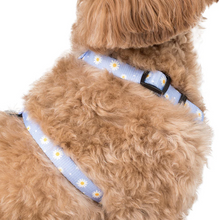 Load image into Gallery viewer, Pablo & Co Blue Daisy Strap Harness