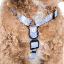 Load image into Gallery viewer, Pablo & Co Blue Daisy Strap Harness