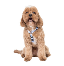 Load image into Gallery viewer, Pablo & Co Blue Daisy Strap Harness