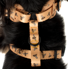 Load image into Gallery viewer, Pablo & Co Bumblebee Adjustable Harness