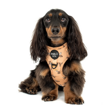 Load image into Gallery viewer, Pablo & Co Bumblebee Adjustable Harness