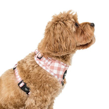 Load image into Gallery viewer, Pablo & Co Chocolate Gingham Adjustable Harness