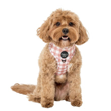 Load image into Gallery viewer, Pablo & Co Chocolate Gingham Adjustable Harness