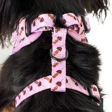 Load image into Gallery viewer, Pablo & Co Dachshunds & Wine Adjustable Harness