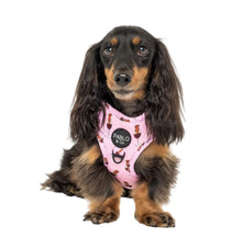 Load image into Gallery viewer, Pablo & Co Dachshunds & Wine Adjustable Harness
