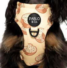 Load image into Gallery viewer, Pablo & Co Garlic Bread Adjustable Harness