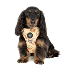 Load image into Gallery viewer, Pablo & Co Garlic Bread Adjustable Harness
