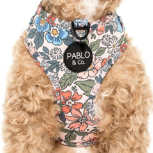 Load image into Gallery viewer, Pablo & Co Grandmas Garden Adjustable Harness