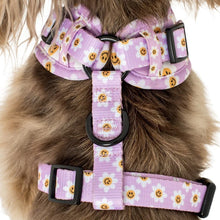 Load image into Gallery viewer, Pablo & Co Smiley Flowers Adjustable Harness