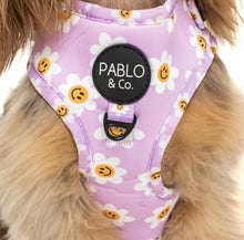 Load image into Gallery viewer, Pablo & Co Smiley Flowers Adjustable Harness