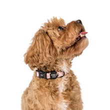 Load image into Gallery viewer, Pablo & Co Peaches & Cream Collar