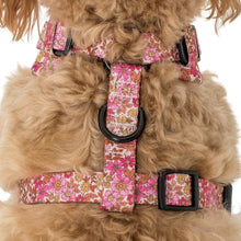 Load image into Gallery viewer, Pablo & Co Pink Posies Adjustable Harness
