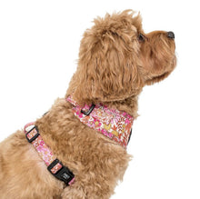 Load image into Gallery viewer, Pablo & Co Pink Posies Adjustable Harness