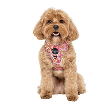 Load image into Gallery viewer, Pablo & Co Pink Posies Adjustable Harness
