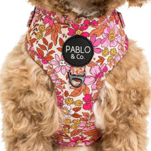 Load image into Gallery viewer, Pablo & Co Pink Posies Adjustable Harness