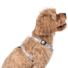 Load image into Gallery viewer, Pablo & Co Stud Muffin Strap Harness