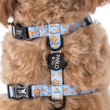 Load image into Gallery viewer, Pablo & Co Stud Muffin Strap Harness