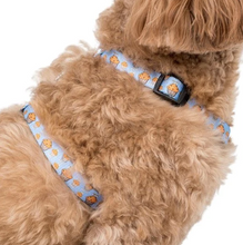 Load image into Gallery viewer, Pablo & Co Stud Muffin Strap Harness