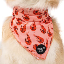 Load image into Gallery viewer, Pablo & Co Summer Prawns Bandana