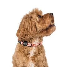 Load image into Gallery viewer, Pablo & Co Summer Prawns Collar