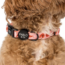 Load image into Gallery viewer, Pablo & Co Summer Prawns Collar