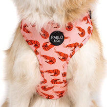 Load image into Gallery viewer, Pablo & Co Summer Prawns Adjustable Harness