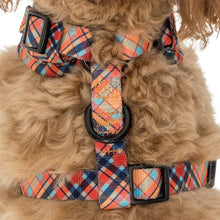 Load image into Gallery viewer, Pablo & Co Tartan Adjustable Harness