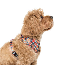 Load image into Gallery viewer, Pablo & Co Tartan Adjustable Harness